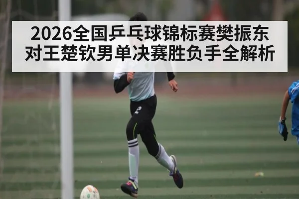 2026全国乒乓球锦标赛樊振东对王楚钦男单决赛胜负手全解析